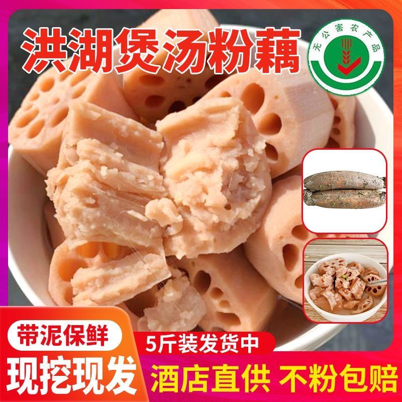 【现挖现发】湖北洪湖粉藕新鲜应季煲汤粉藕批发一整箱九孔糯米藕
