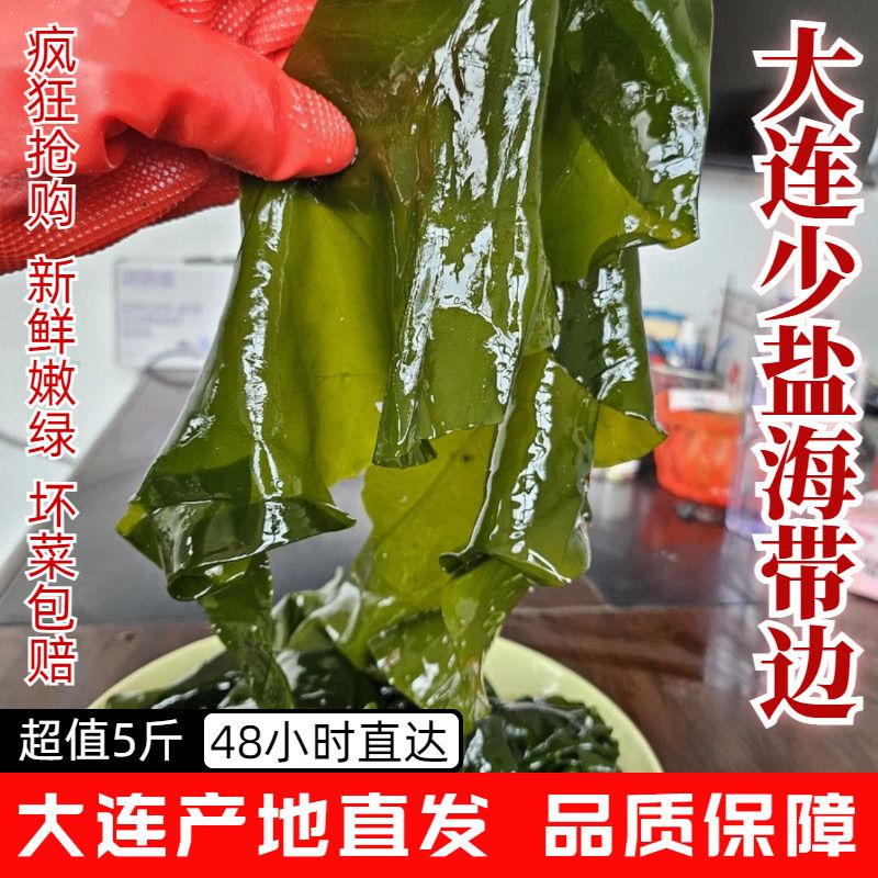 5斤海带边新鲜盐渍凉拌菜海带丝火锅海藻海带片正宗