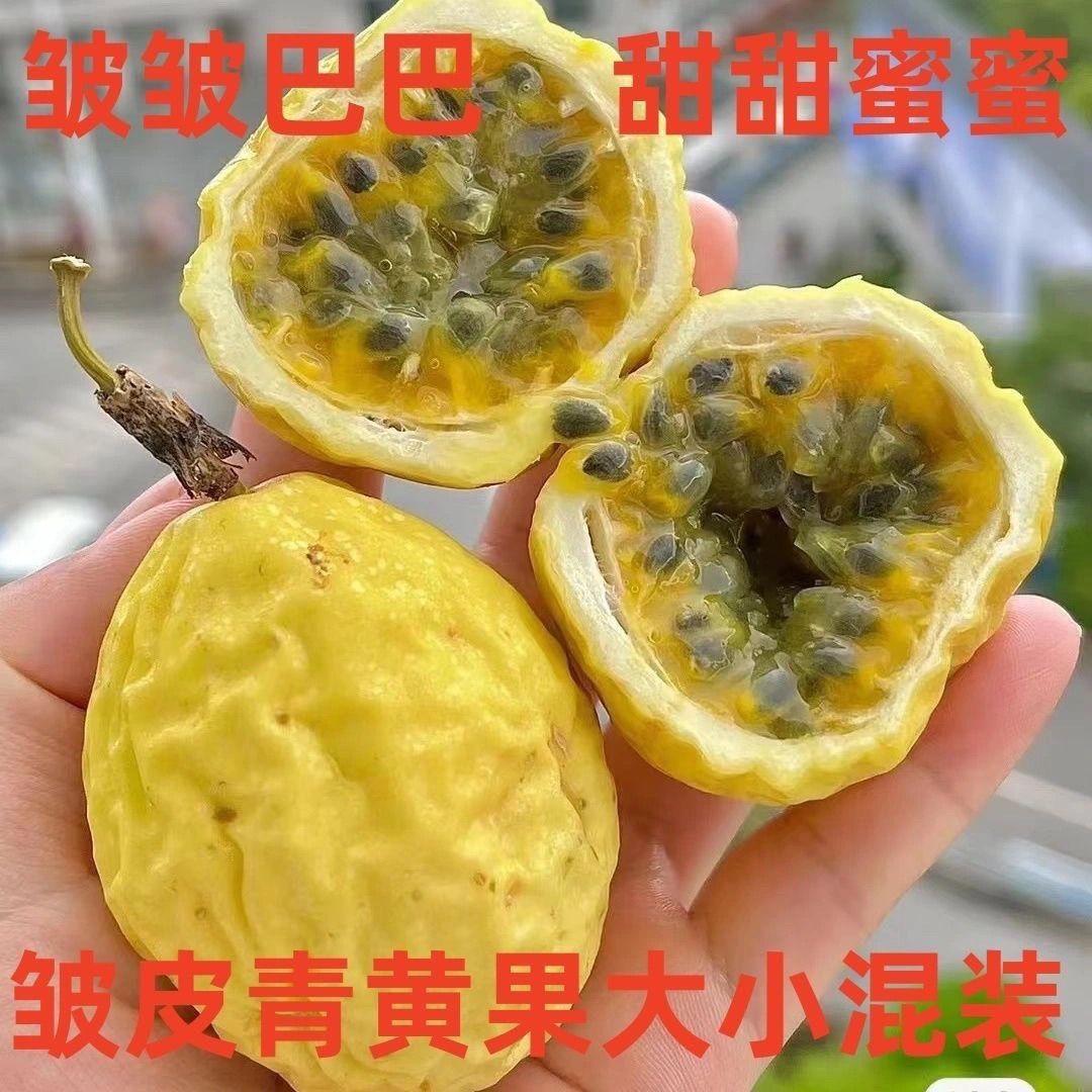 正宗钦蜜9号黄金百香果新鲜皱皮花皮果瑕疵果水果奶茶现挖果酱