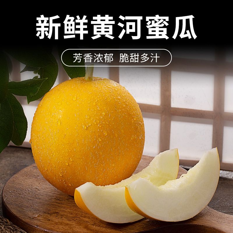 黄皮陕西黄河蜜瓜金美人甜瓜黄金蜜瓜新鲜水果甜瓜应季哈密瓜薄皮