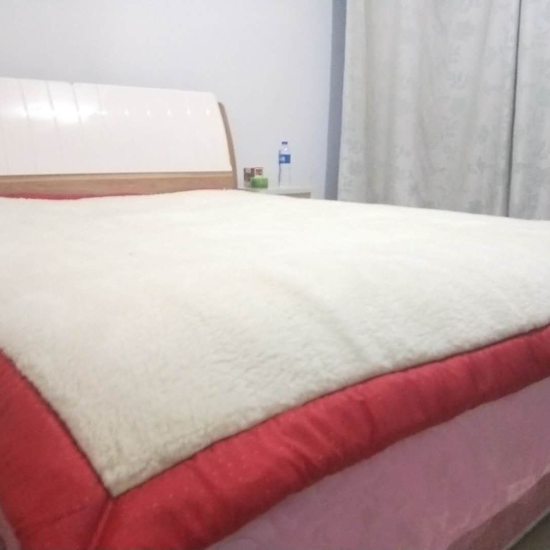 内蒙古100%真羊毛羊毛床垫羊毛被褥冬季加厚羊毛被褥羊毛被垫