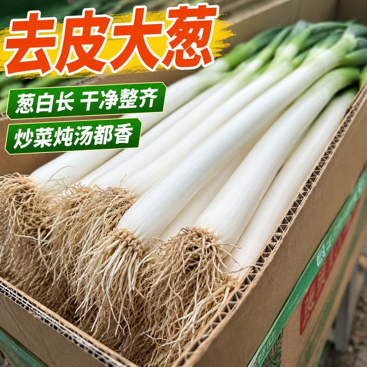 山东铁杆大葱批发特价大葱清仓山东大葱特价便宜绿葱长葱现挖现发