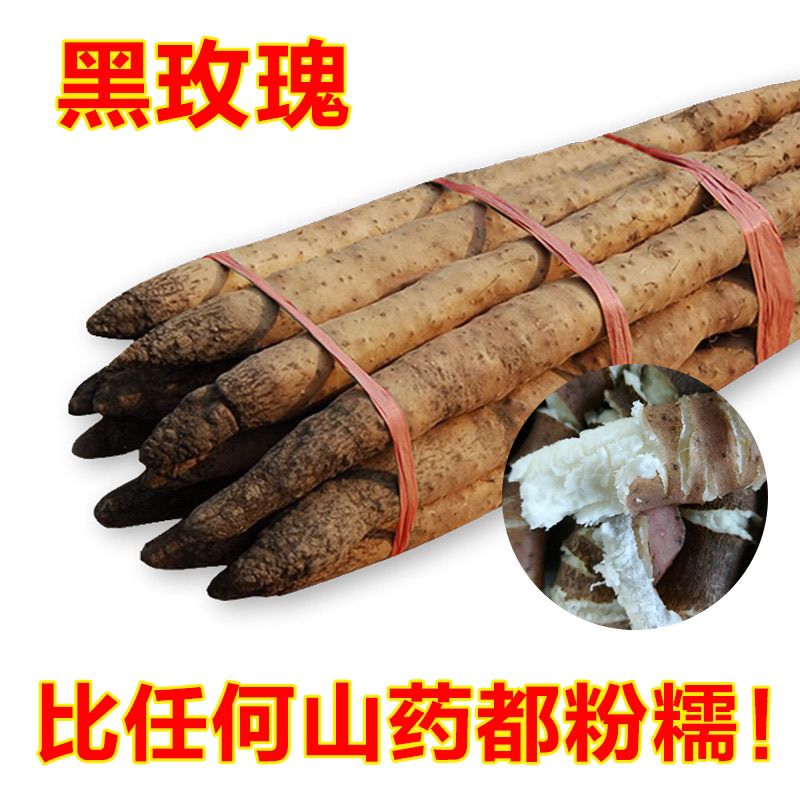 野生正宗小白嘴黑头山药新鲜比垆土铁棍铁杆淮山药好吃现挖粉糯香