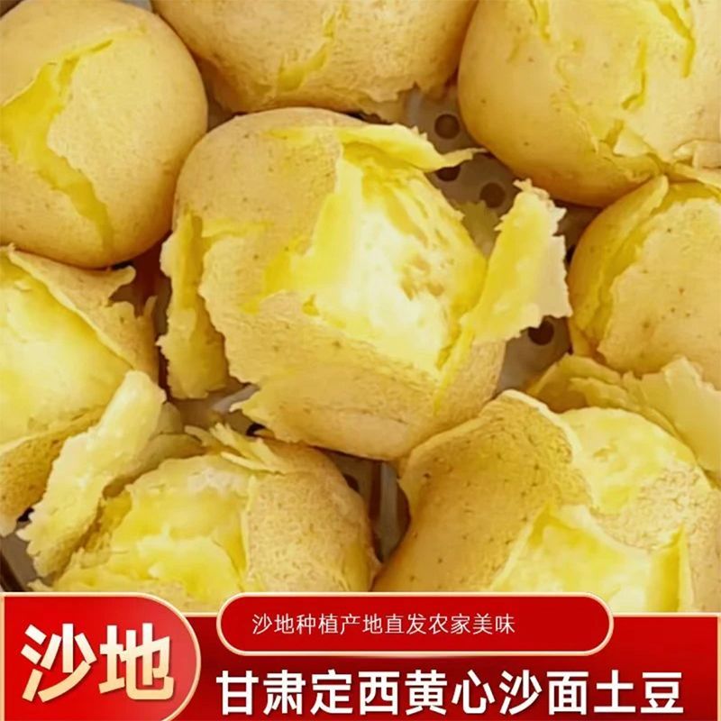 正宗甘肃定西土豆现挖黄皮黄心新鲜批发蔬菜迷你沙面马铃薯洋芋