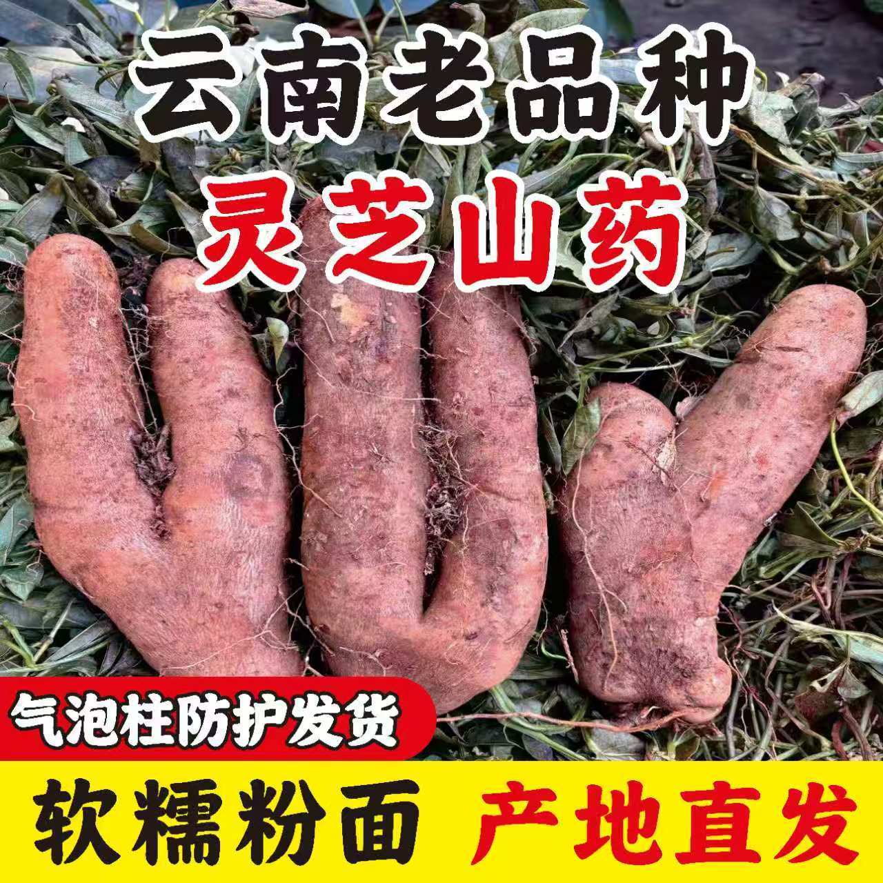 新鲜现挖云南高山老品种林芝山药粉糯干面口感香软农家种植