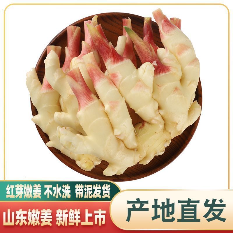 山东嫩姜仔姜新鲜子姜鲜姜醋泡姜红芽姜当季蔬菜农家自种现挖批发