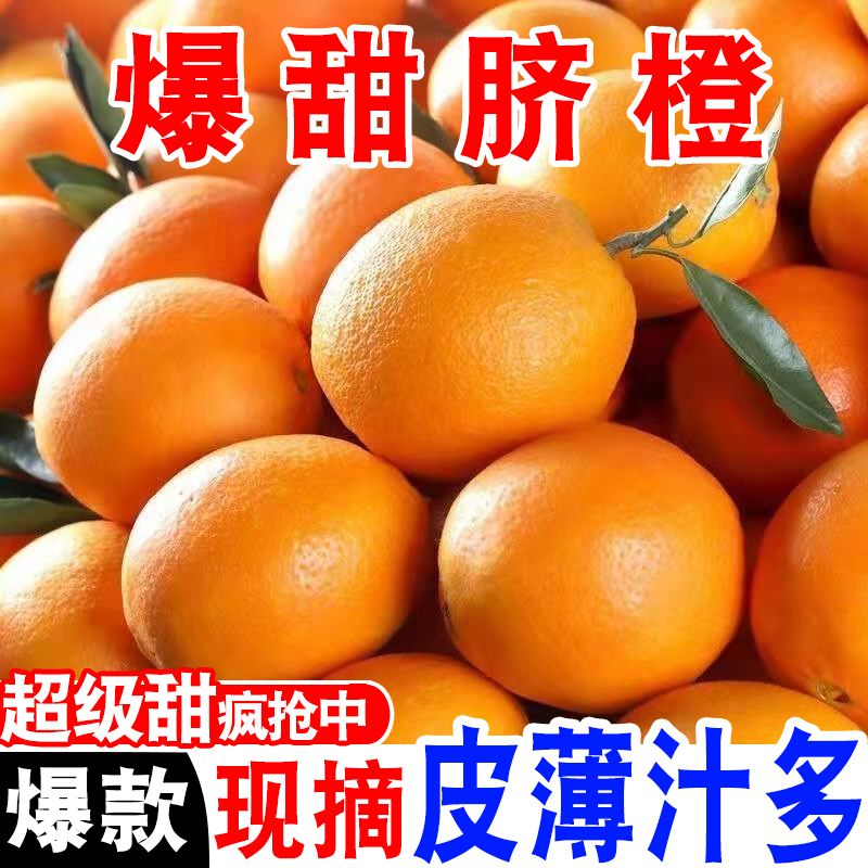 新鲜脐橙子当季水果手剥冰糖甜橙非江西赣南的脐橙整箱薄皮榨汁