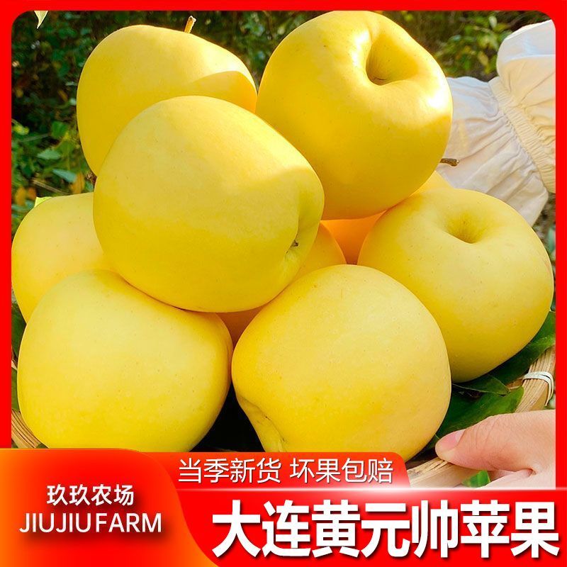 【玖玖农场】正宗大连黄元帅苹果新鲜水果现摘瓦房店黄金苹果5斤