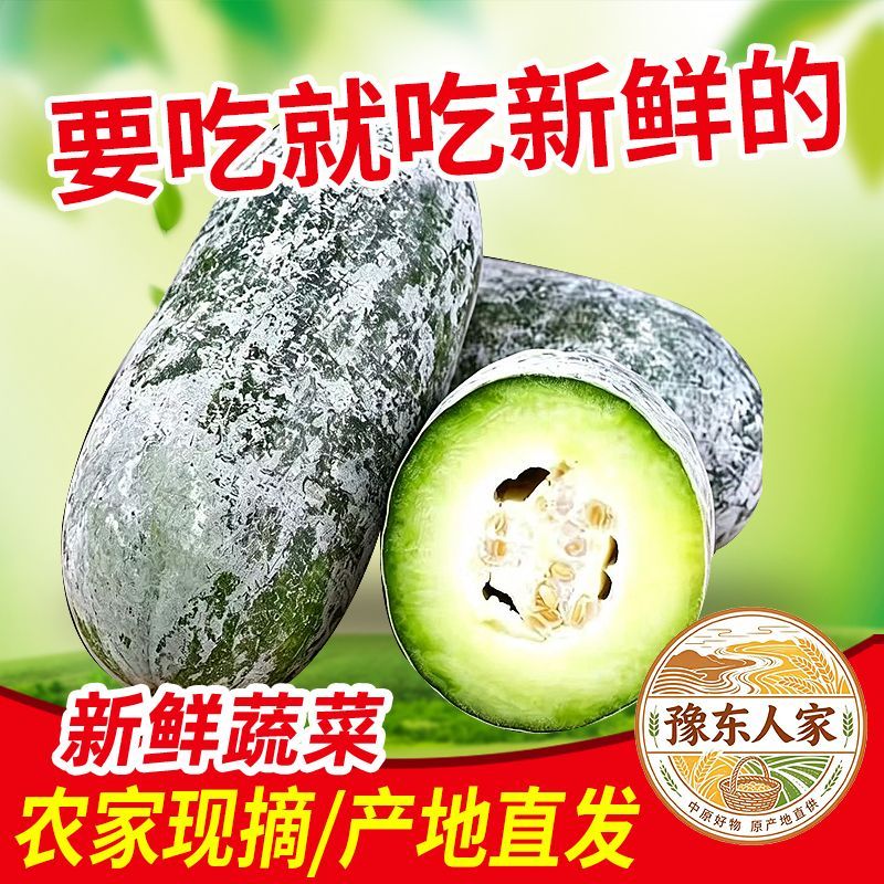 节瓜应季农家头茬水果冬瓜当季迷你小冬瓜毛冬瓜新鲜蔬菜挂霜脆甜
