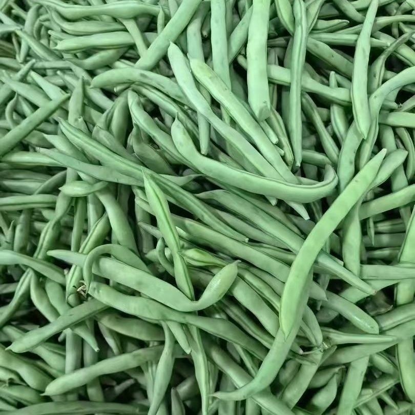 云南新鲜四季豆露天现摘高山筋豆小金豆整箱应季蔬菜批发