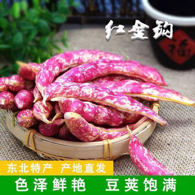 东北油豆角黄金勾豆角红金钩油豆鼓豆豆角面豆新鲜现摘现发