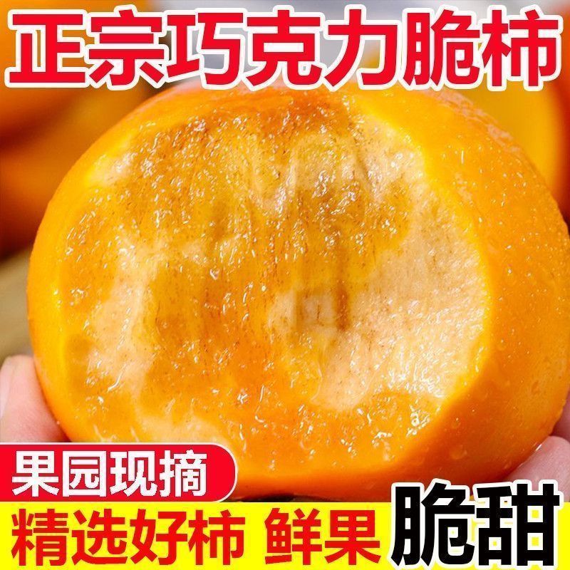 【特惠】正宗巧克力脆柿子冰糖心无核生吃硬柿子脆甜多汁水果批发