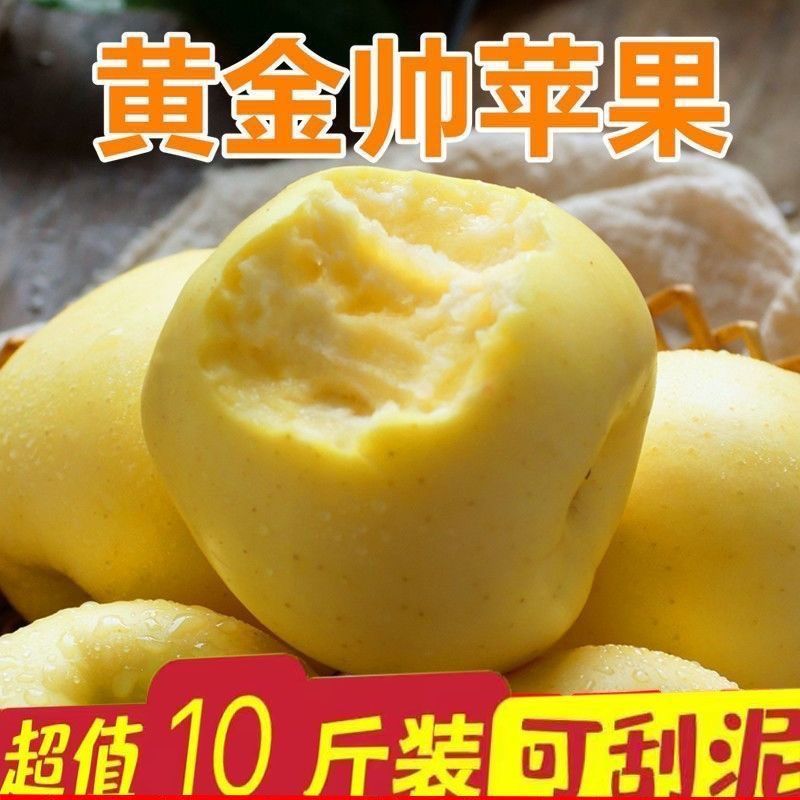 (薄皮)黄金帅苹果黄元蕉黄香蕉辽宁粉面刮泥苹果新鲜当季糯粉果