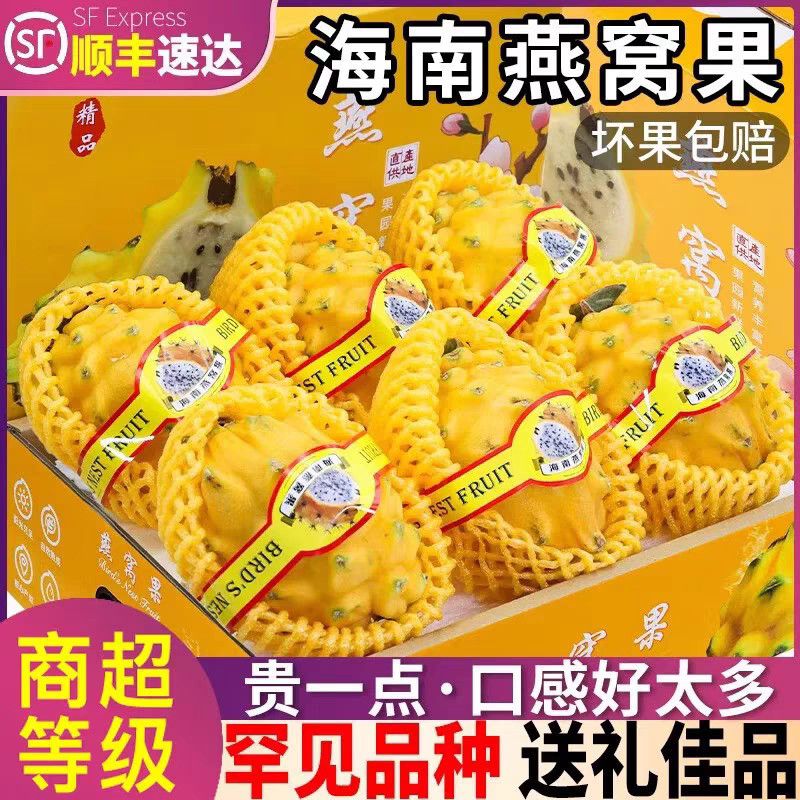 【顺丰包邮】麒麟燕窝果冰糖清甜彩箱正宗海南大果罕见黄皮火龙果
