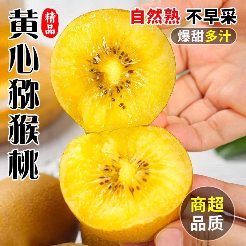 四川蒲江黄心猕猴桃国产奇异果应季新鲜孕妇水果整箱包邮批发价