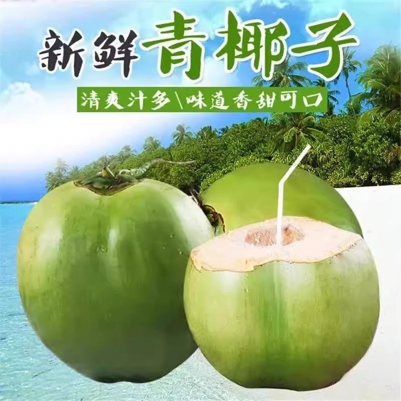 正宗海南文昌带皮椰青新鲜当季现摘椰子直发整箱包邮