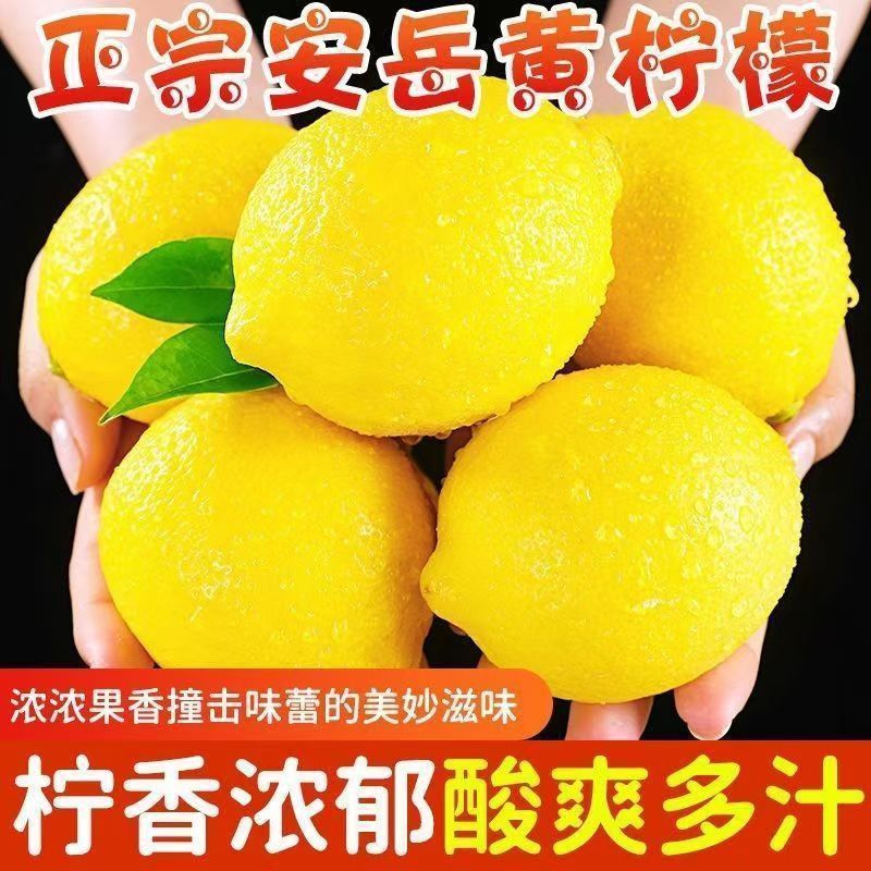 【正宗】四川安岳黄柠檬鲜果尤力克多规格奶茶切片榨汁皮薄多汁