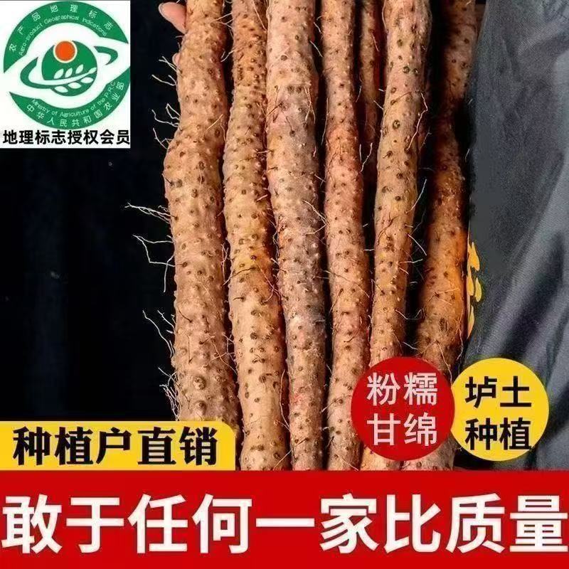 【地标产品】5斤正宗温县垆土铁棍山药焦作新鲜铁杆怀山药