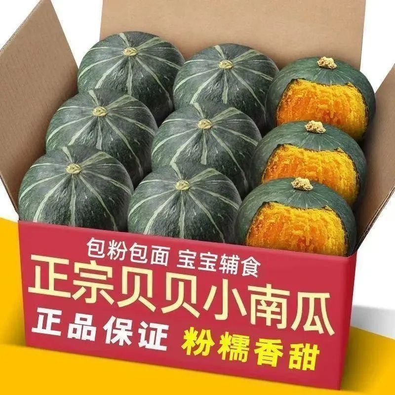 正宗产地贝贝南瓜板栗现摘带箱新鲜直发辅食孕妇婴儿辅食