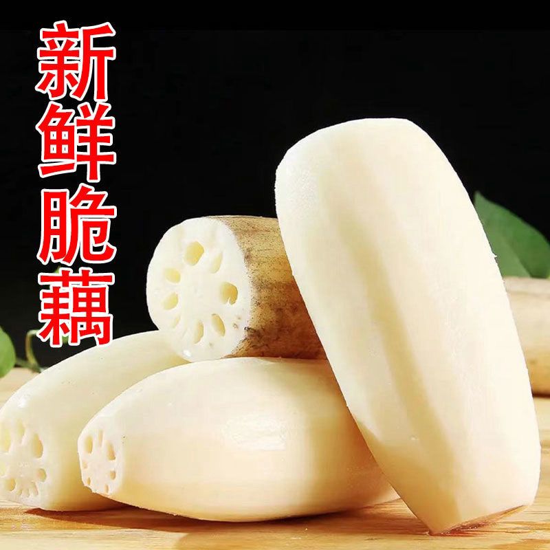 当季2026莲藕新鲜现挖现发脆小藕批发价蔬菜凉拌整箱产地直发特级
