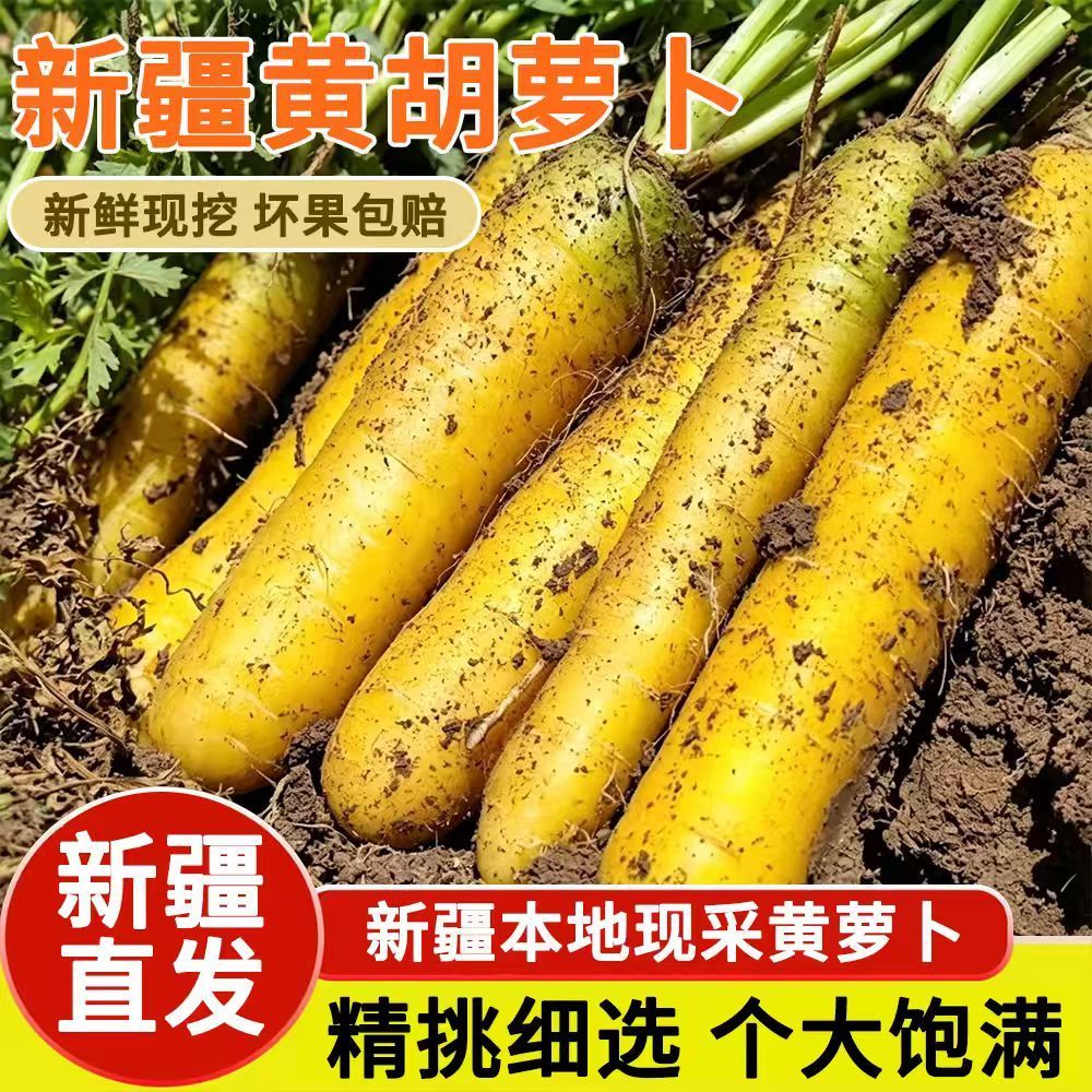 新疆黄胡萝卜新疆有机蔬菜水果黄萝卜手抓饭三件套非转基因富硒