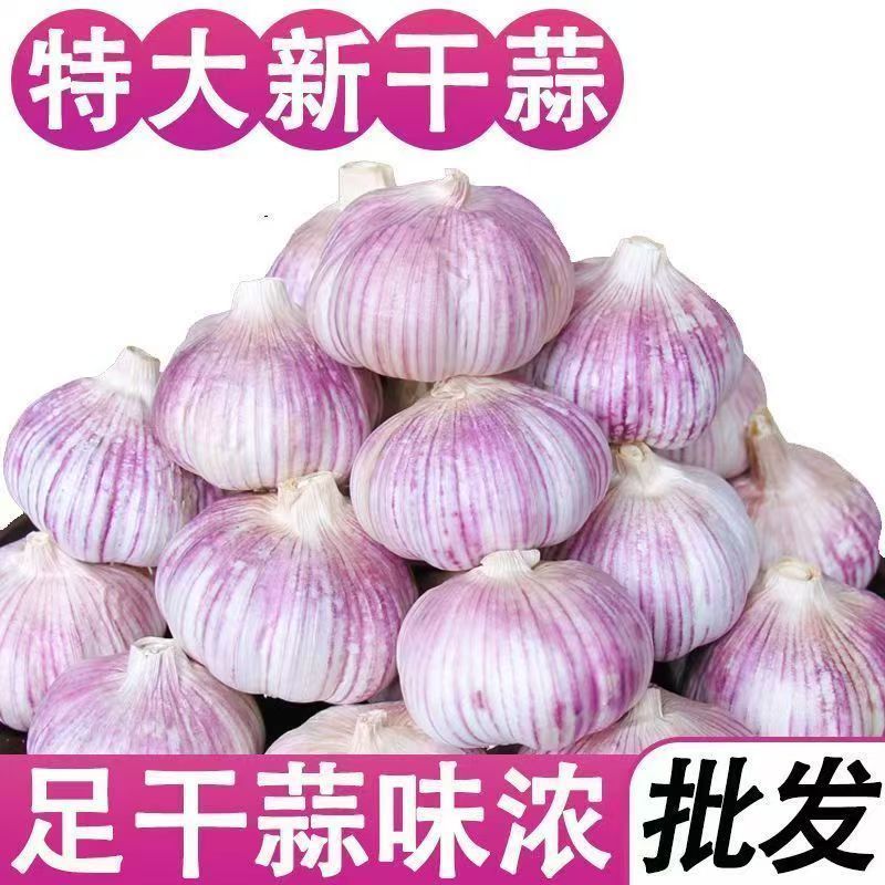 【特大干蒜】紫白皮大蒜干蒜大蒜头批发整箱优质蒜子多瓣干蒜
