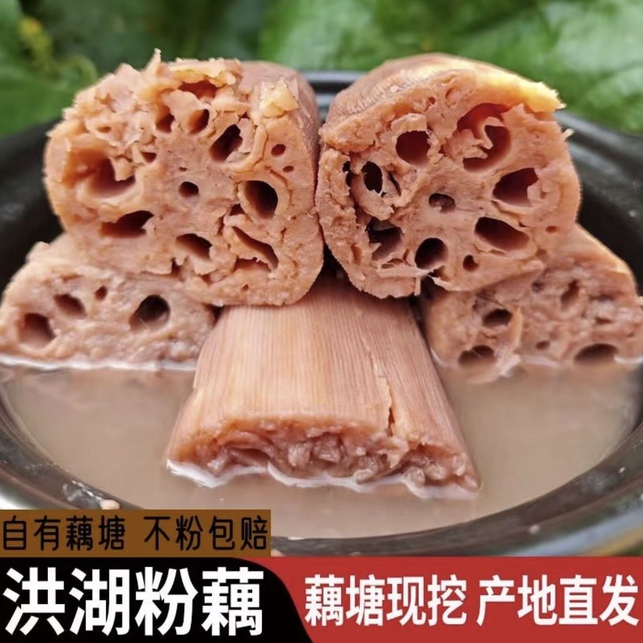 【真粉藕】正宗湖北洪湖莲藕新鲜煲汤粉糯藕米藕短粗九孔粉藕整箱