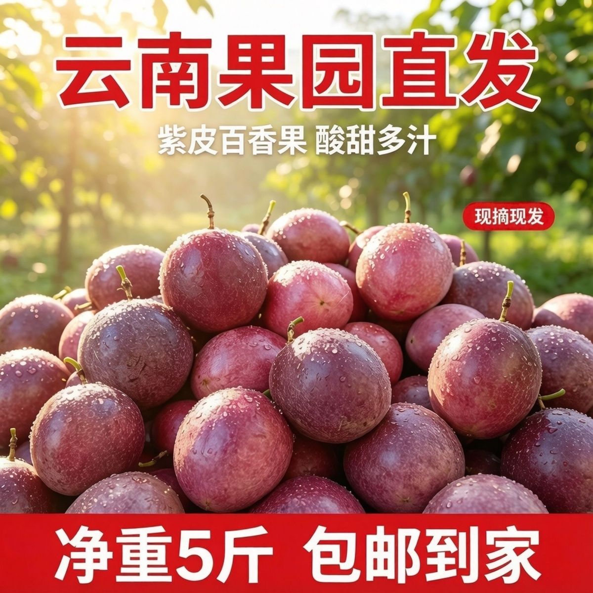 【5斤】云南新鲜紫皮百香果当季鲜果大果水果酸甜整箱批发奶茶