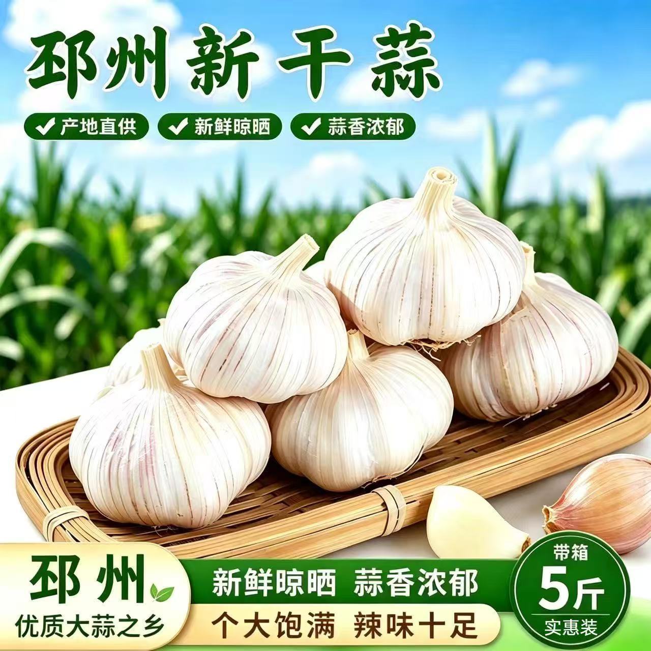 今年新干白皮大蒜新鲜邳州团购批发整箱优质干蒜多瓣便宜干大蒜