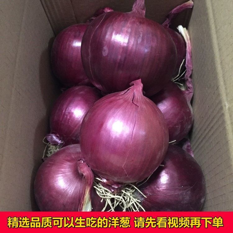 洋葱新鲜紫红皮洋葱精品深紫洋葱圆葱头红皮元葱批发蔬菜新鲜包邮