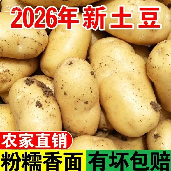 品种正宗新鲜现挖黄皮农家土豆黄心洋芋马铃薯当季蔬菜批发