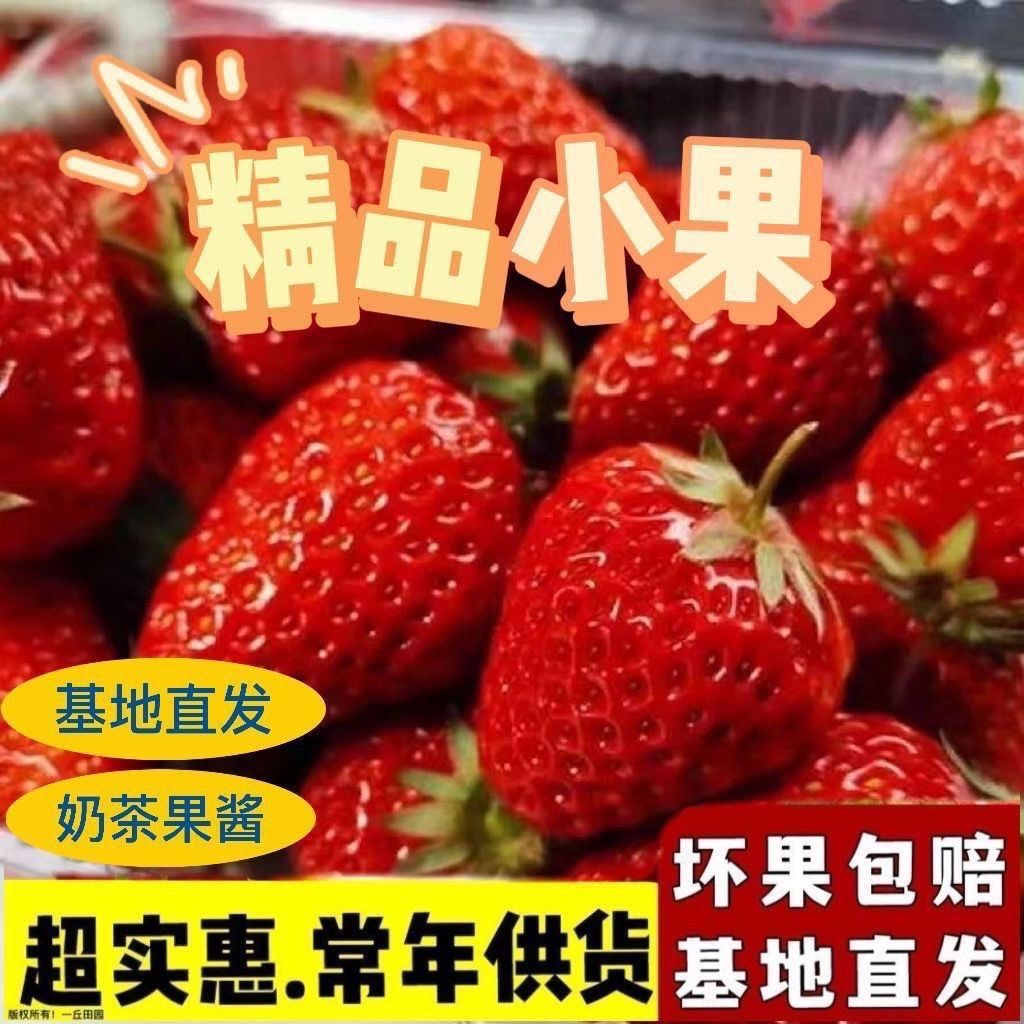 云南商用草莓批发新鲜整箱夏季糖葫芦烘焙小果奶茶冰糖葫芦