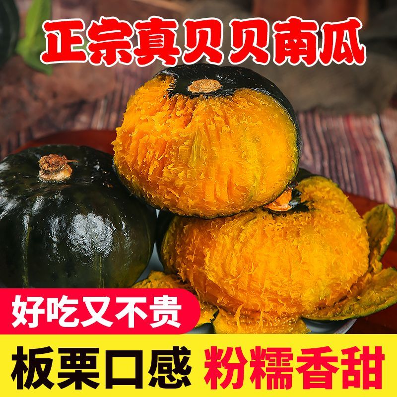 【温小二】彩箱正宗贝贝南瓜新鲜板栗味香甜粉糯农家自种粉糯3斤
