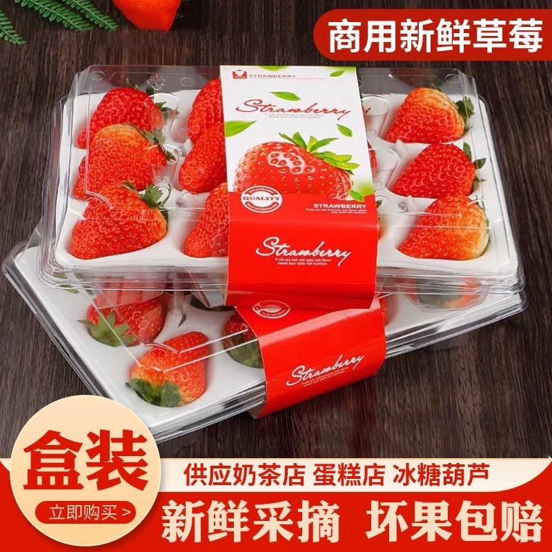 酸【食用慎拍】云南商用草莓新鲜烘焙奶茶冰糖葫芦盒装便宜