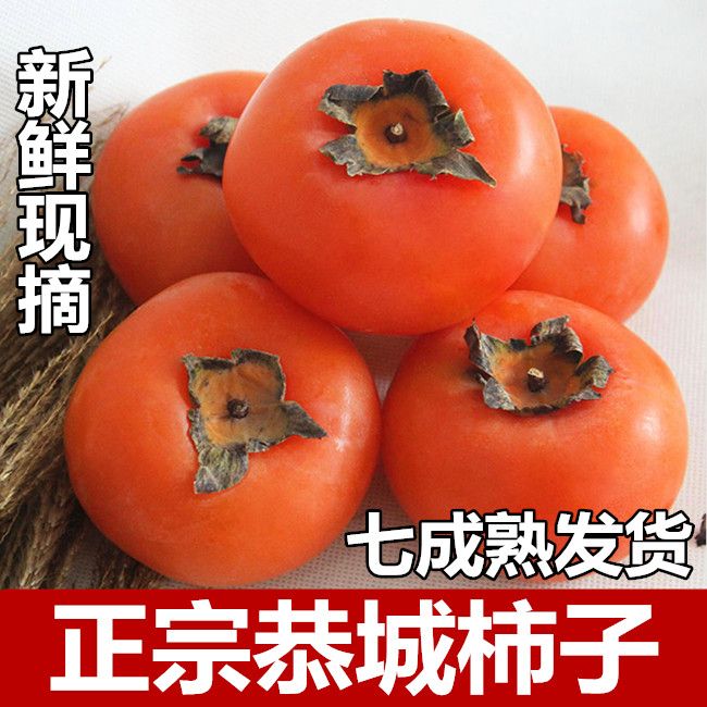 现摘红柿子爆甜软柿子新鲜水果甜柿子当季时令火柿子水晶柿黄柿子
