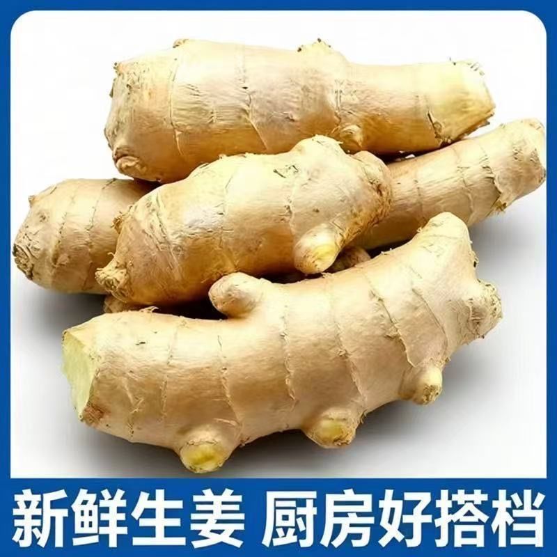 特级老姜正宗山东大姜风干姜大块单指无泥生姜月子整箱黄姜批发