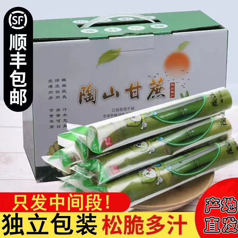 陶山甘蔗正宗青皮甘蔗孕妇新鲜甜杆当季水果礼盒薄皮手撕