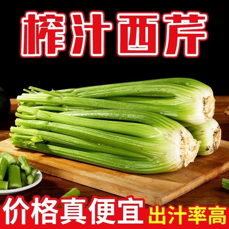西芹新鲜山东寿光西芹榨汁芹菜大西芹现割脆嫩榨汁水果西芹