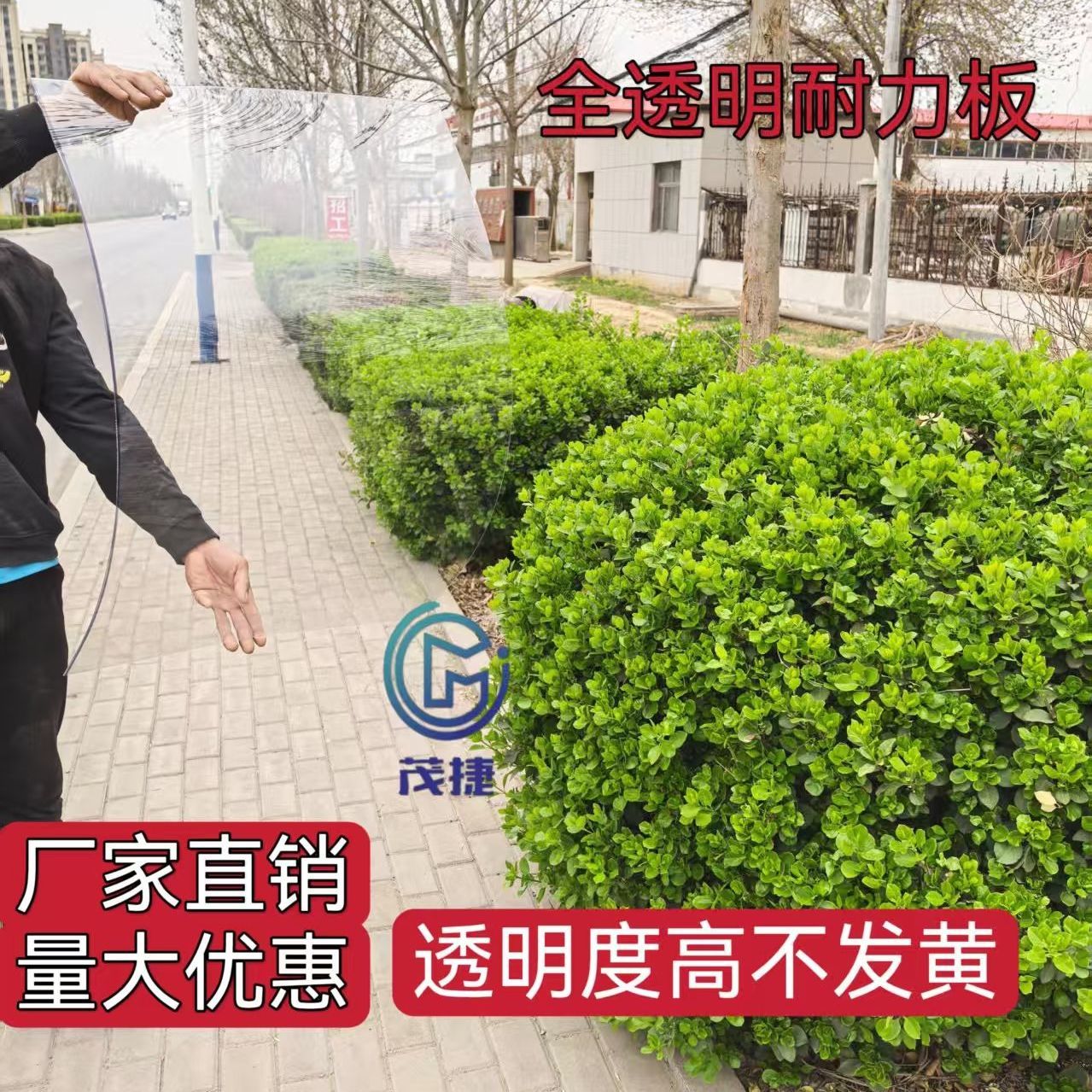 PC全透明阳光板耐力板阳台防雨板车库天井温室大棚隔断阳光房雨罩