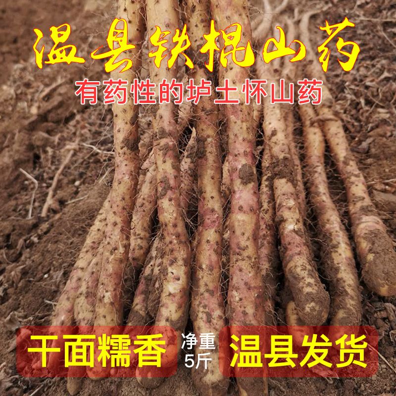 温县垆土铁棍山药5斤2026年河南焦作直发特产怀山药正宗铁杆山药