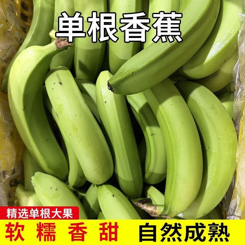 广西高山青皮香蕉软糯香甜自然熟薄皮单根果产地直发新鲜水果5斤