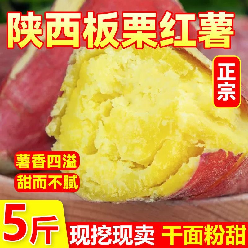 正宗板栗红薯陕西沙地新鲜批发黄心地瓜番薯干面农家香甜现挖