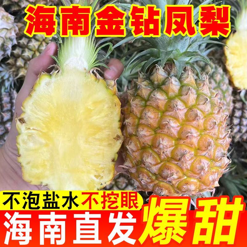 海南直发正宗金钻凤梨整箱当季台农17号无眼菠萝新鲜水果大个包邮
