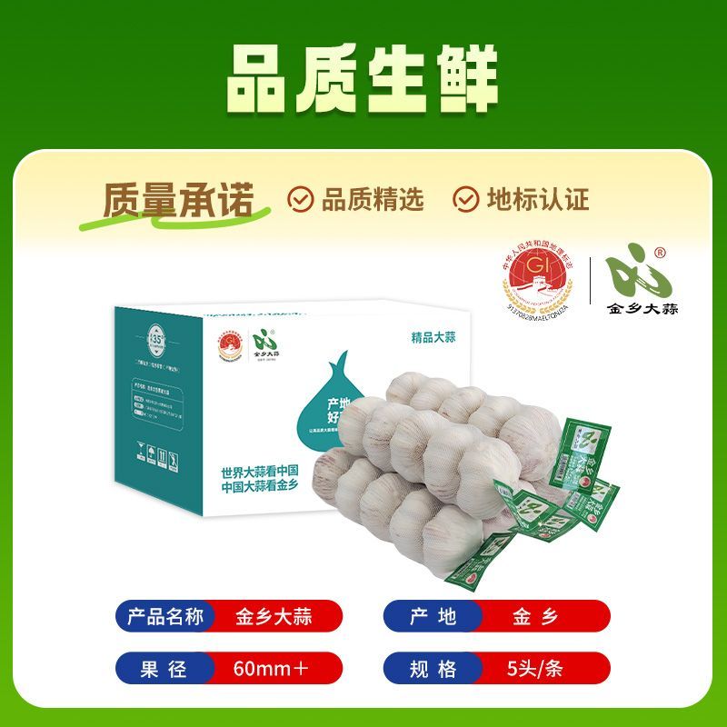 金乡大蒜2斤3斤5斤60mm紫皮大蒜山东特大果商超网兜彩盒商超品质