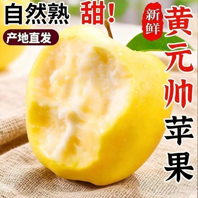 【头茬】正宗黄金帅黄元帅黄香蕉苹果新鲜苹果老人当季苹果整箱