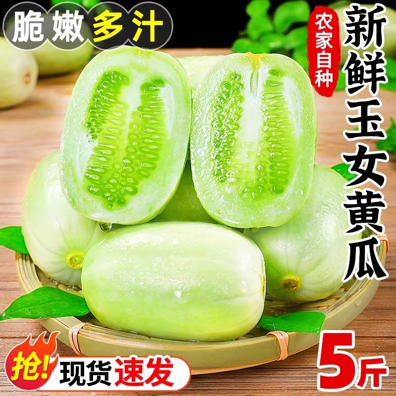 玉女水果黄瓜水果小黄瓜生吃脆特甜新鲜拇指黄瓜批发一整箱