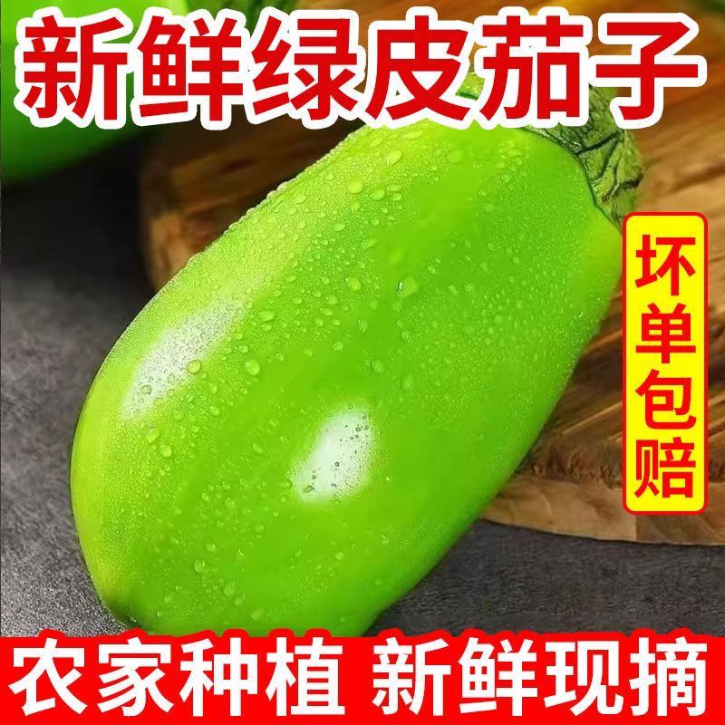 新鲜河南现摘茄子青皮特产农家自种蔬菜包邮可生整箱时令现发