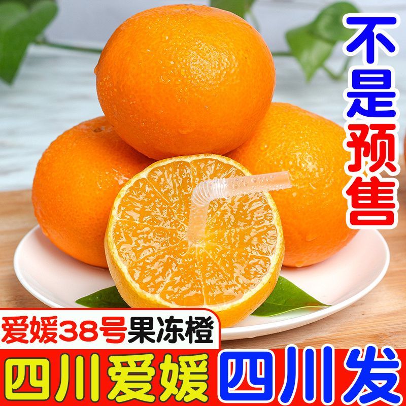 【老品种】四川爱媛38号果冻橙子应当季新鲜水果手剥爱媛橙子批发