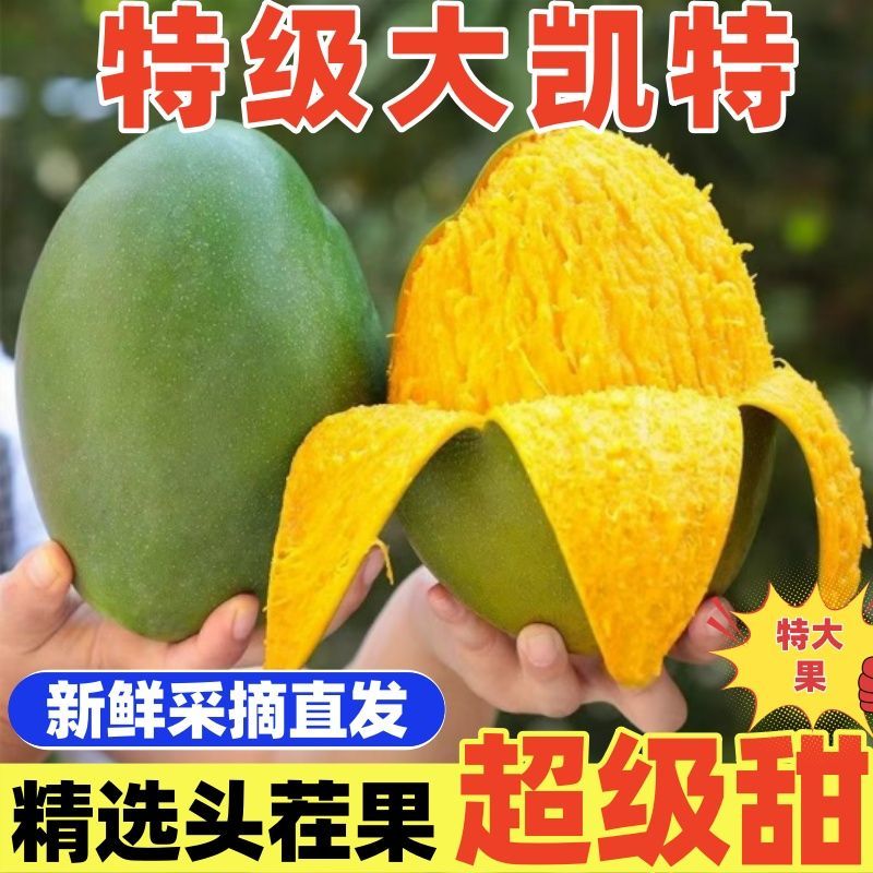 彩箱9斤】正宗凯特芒彩虹芒新鲜水果应季芒果当季薄皮