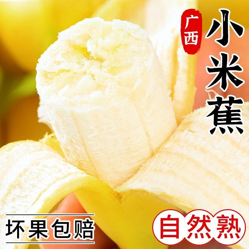 广西小米蕉香蕉新鲜水果9斤小香芭蕉当季苹果蕉整箱自然熟